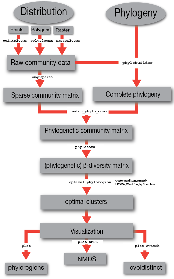 Figure 1. Simplified workflow for analysis of biogeographical regionalization using phyloregion. Distribution data is converted to a sparse community matrix. When paired with phylogenetic data, phylobuilder creates a subtree with largest overlap from a species list, thereby ensuring complete representation of missing data; phylocommunity matrix to visualization of results.